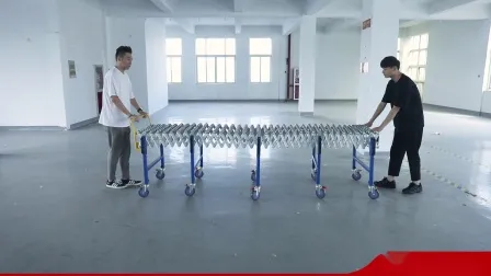 China Factory Extendable Flexible Steel Roller Conveyor Used for Transfer Boxes