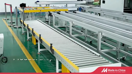 Bifa Double Pitch Chain Drive Motorized Power Roller Bed Conveyor Systems