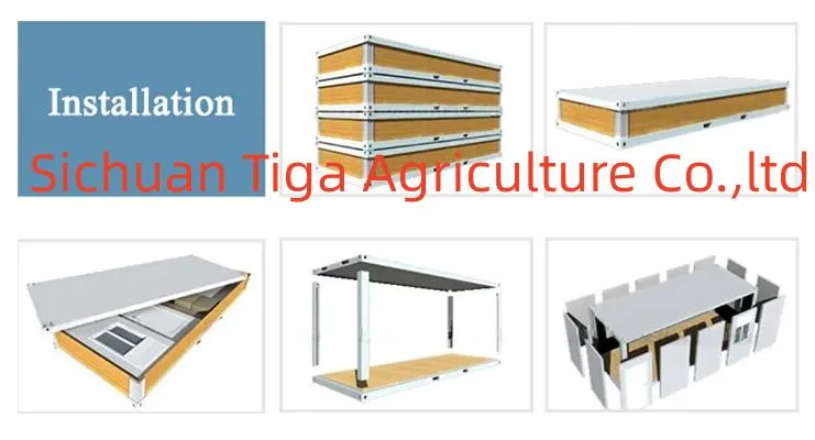 Low Cost OEM Prefabricated Steel Structure Workshop Automated Container Warehouse