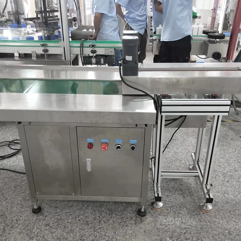 Cold Resistant Acid and Alkali Resistant Stainless Steel Conveyor Belt Conveyor System