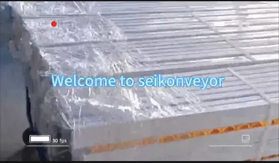 Wheel Conveyor Roller Track for Sliding Shelf System Assembly Line 