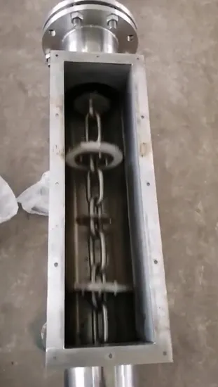 Continuous Stainless Steel Conveyor for Animal Feed Transport 