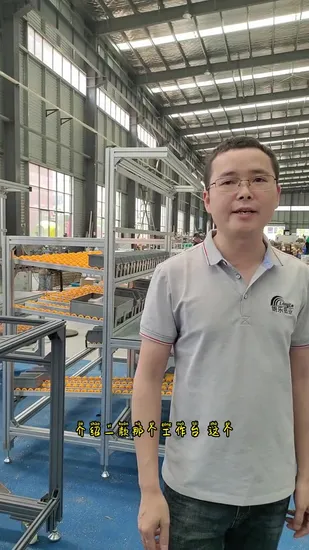 Wheel Industrial Customized Aluminium Flow Rail Roller Sliding Track for Workbench Warehouse Shelf 