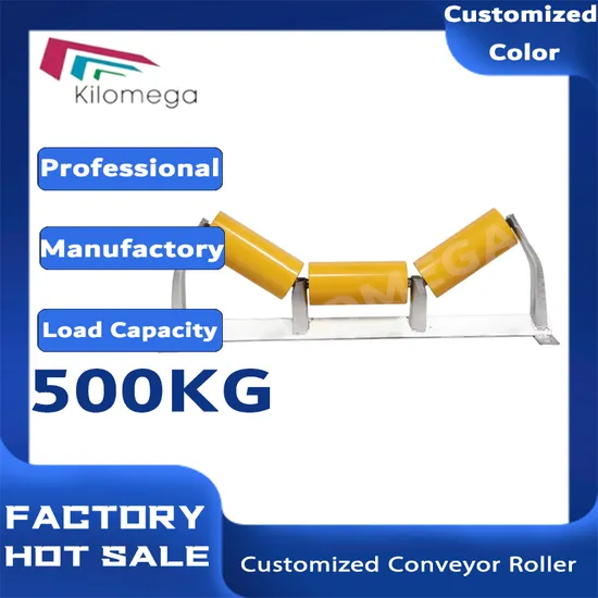 Stainless Steel Conveyor Roller 